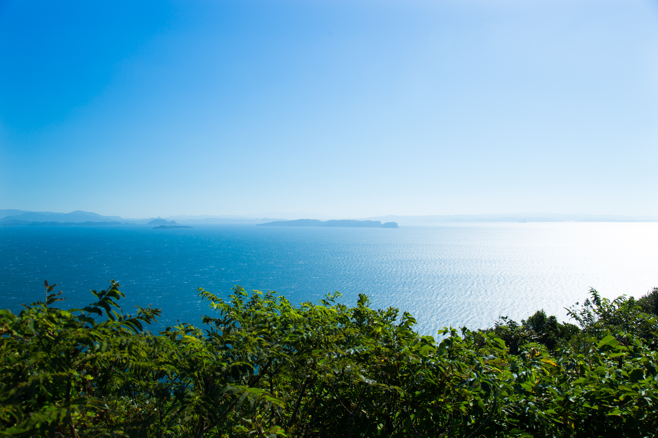 平戸浜岳線歩道__17