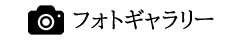 フォトギャラリー