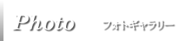 フォトギャラリー