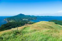 上段の野