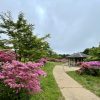 宝原05