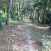 Akadaki Nature Trail02
