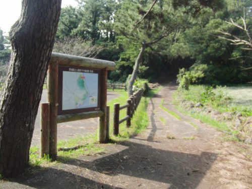 赤ダキ線歩道01